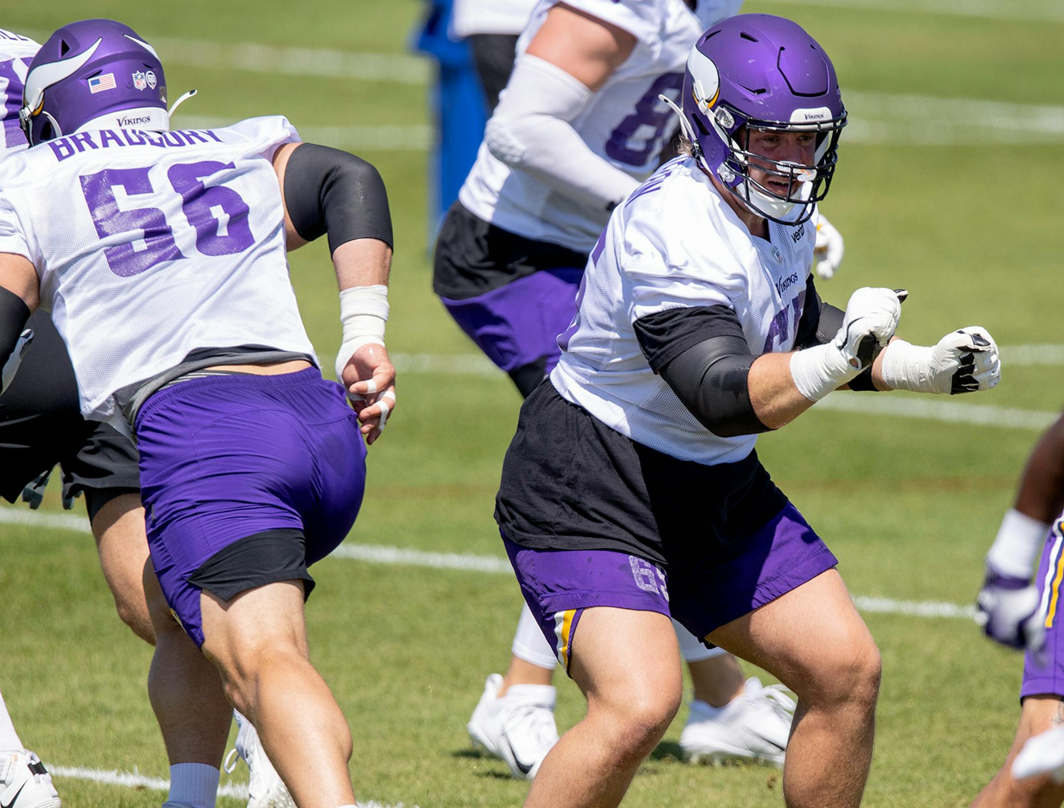 Minnesota Vikings offensive lineman Pat Elflein (65).