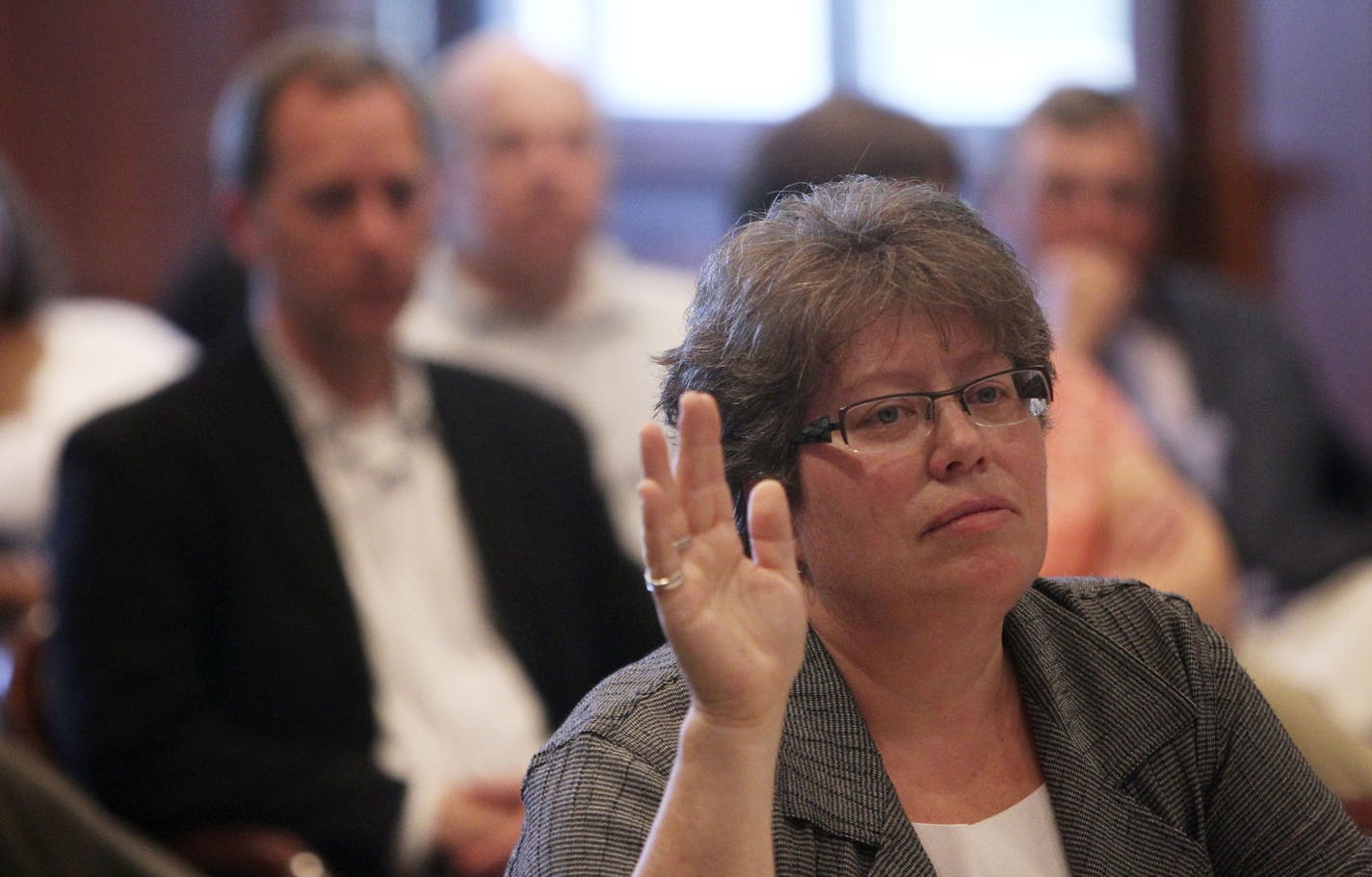 Liz Richards, executive director for Violence Free Minnesota, testified during a hearing in St. Paul.