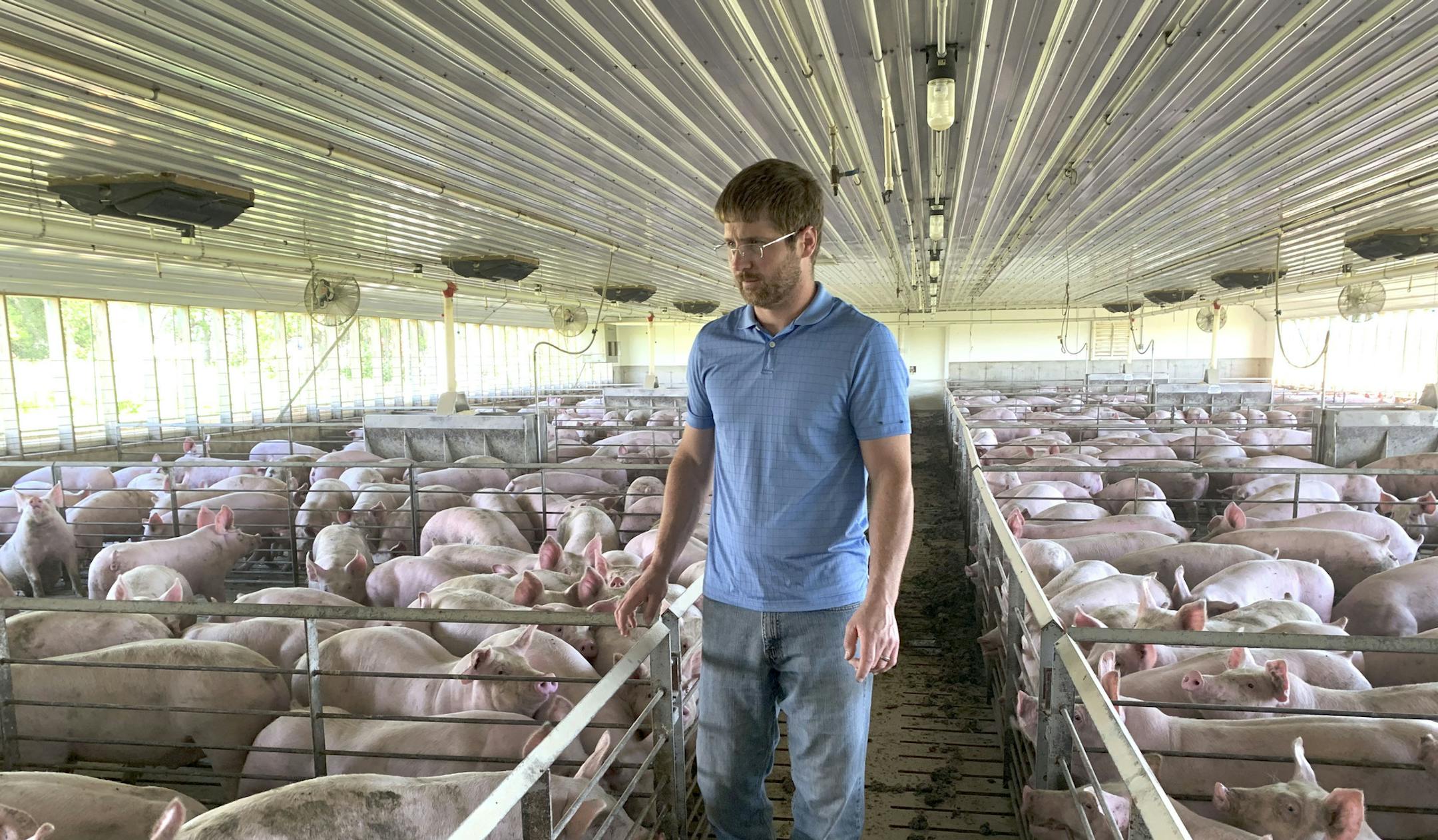 FILE - In this Tuesday, June 25, 2019, file photo, farmer Matthew Keller walks through one of his pig barns near Kenyon, Minn. President Donald Trump spent four years upending seven decades of American trade policy. He started a trade war with China, slammed America's closest allies by taxing their steel and aluminum and terrified Big Business by threatening to take a wrecking ball to $1.4 trillion in annual trade with Mexico and Canada. Trump's legacy on trade is likely to linger, regardless wh