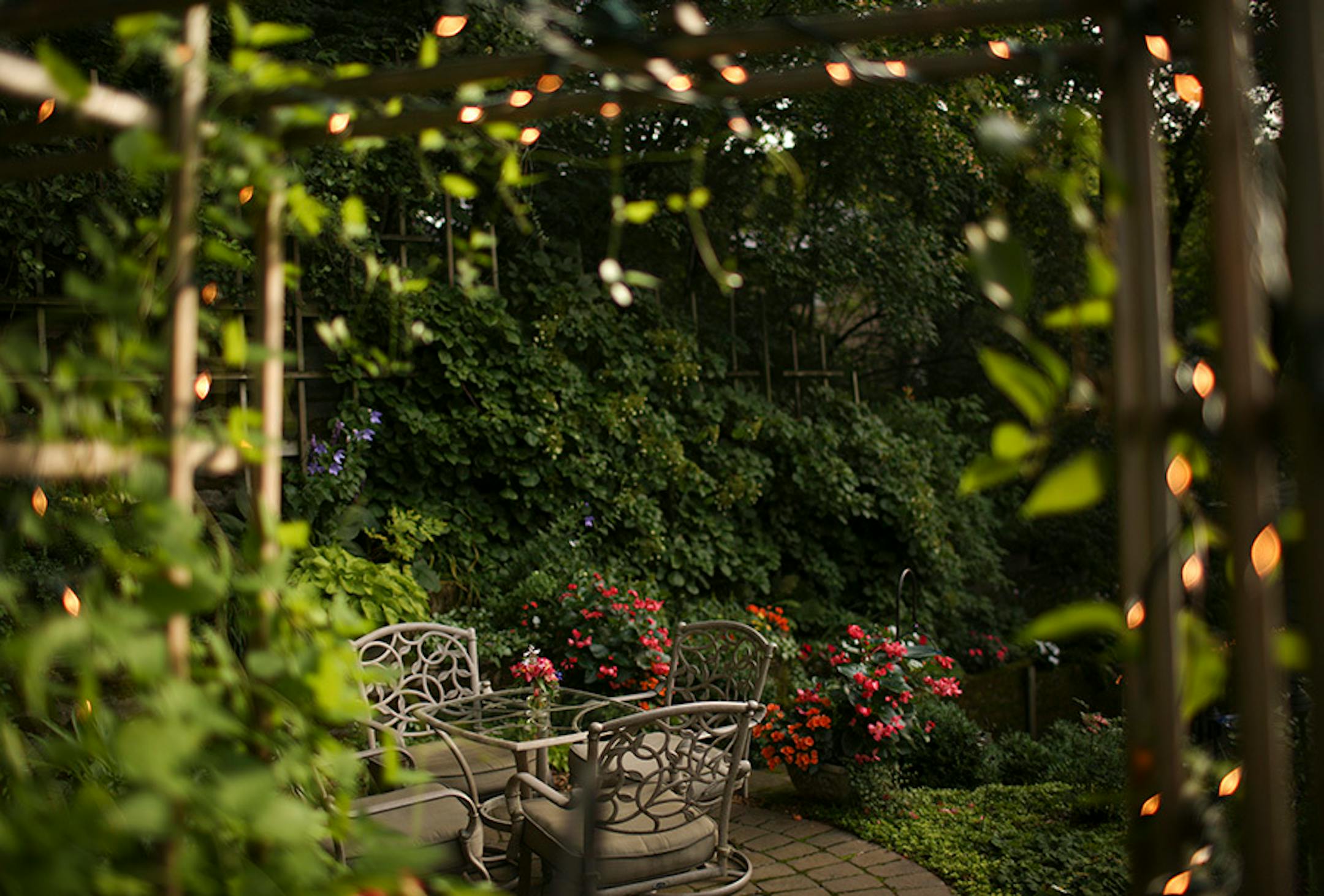 The pergola is decorated with lights for summer evening entertaining.