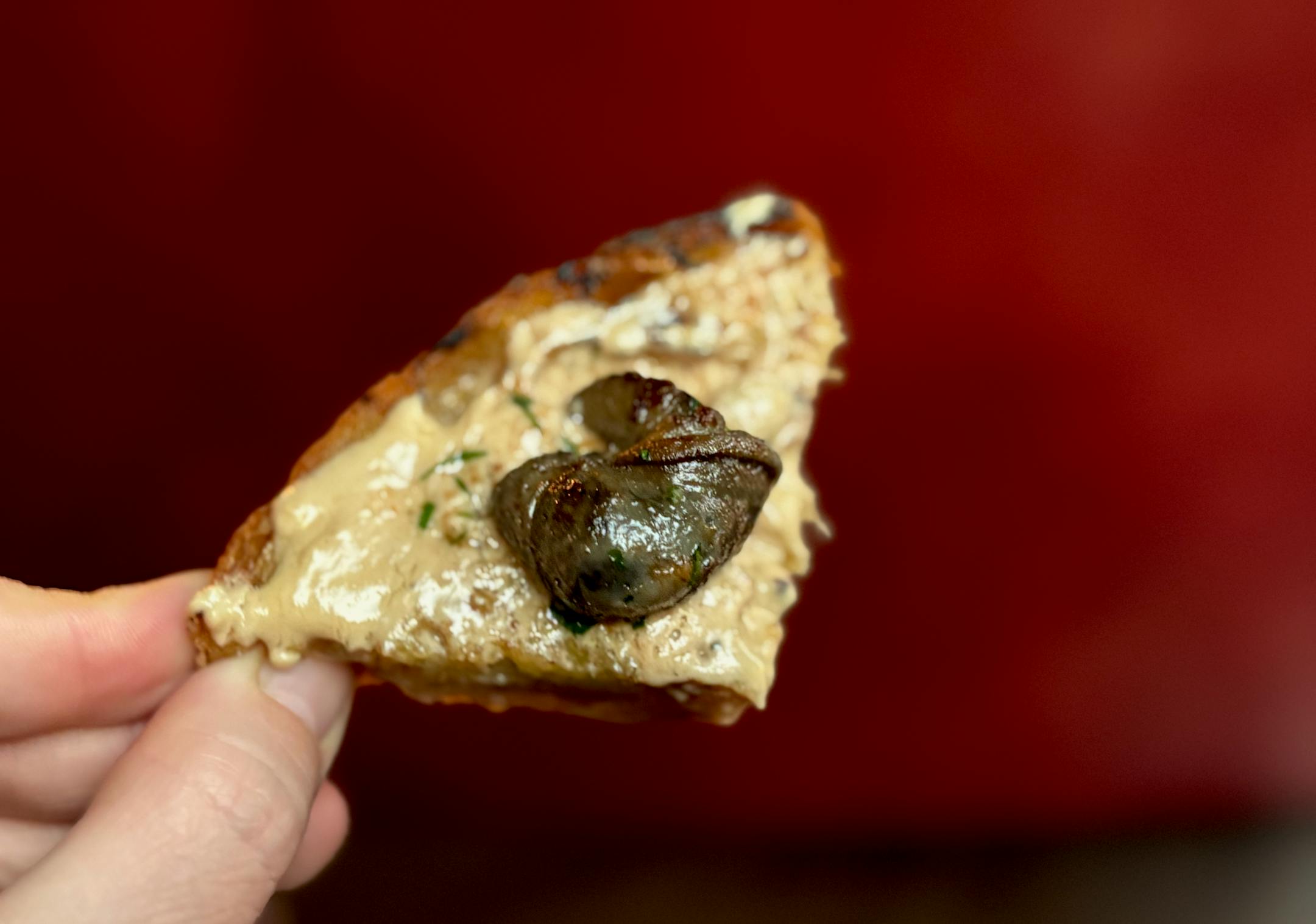 A small wedge of toasted bread is topped with a beige creamy spread and in the center is a dark brown escargot.