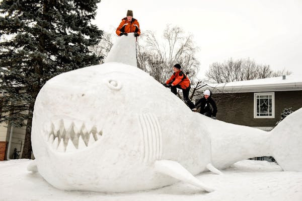 THEY BUILD A LAND SHARK: Brothers Trevor, Connor, and Austin Bartz built this 16-foot-high snow shark in the front yard of their New Brighton home. It