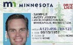 Standard Minnesota driver's license.