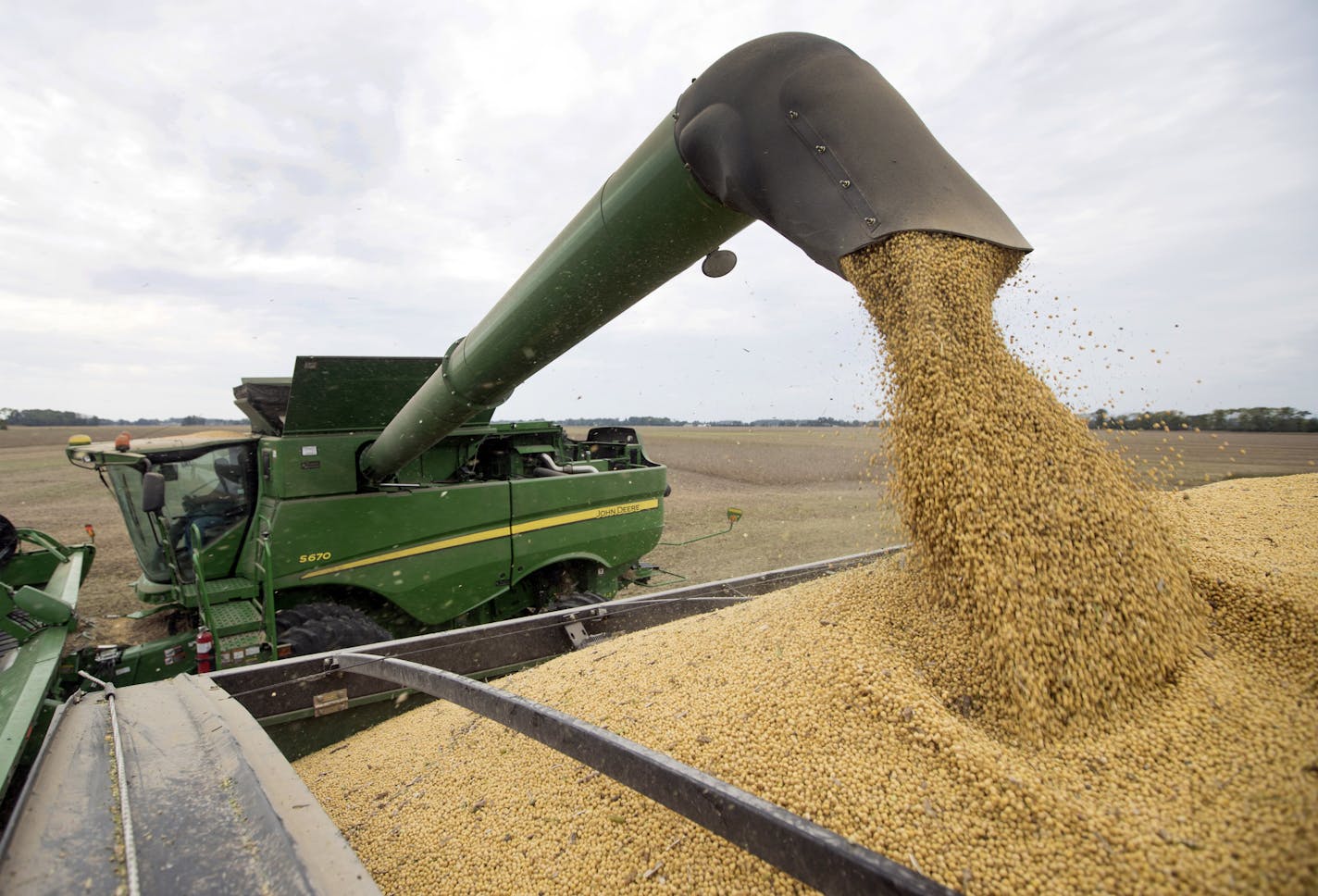 FILE - In this Sept. 21, 2018, file photo, Mike Starkey offloads soybeans from his combine as he harvests his crops in Brownsburg, Ind. Soybeans, which account for less than 1 percent of U.S. exports, are upstaging weightier issues as the Trump administration tackles trade disputes with China and other countries. (AP Photo/Michael Conroy, File) ORG XMIT: MER35ad206c140e89043b264ff67ac78