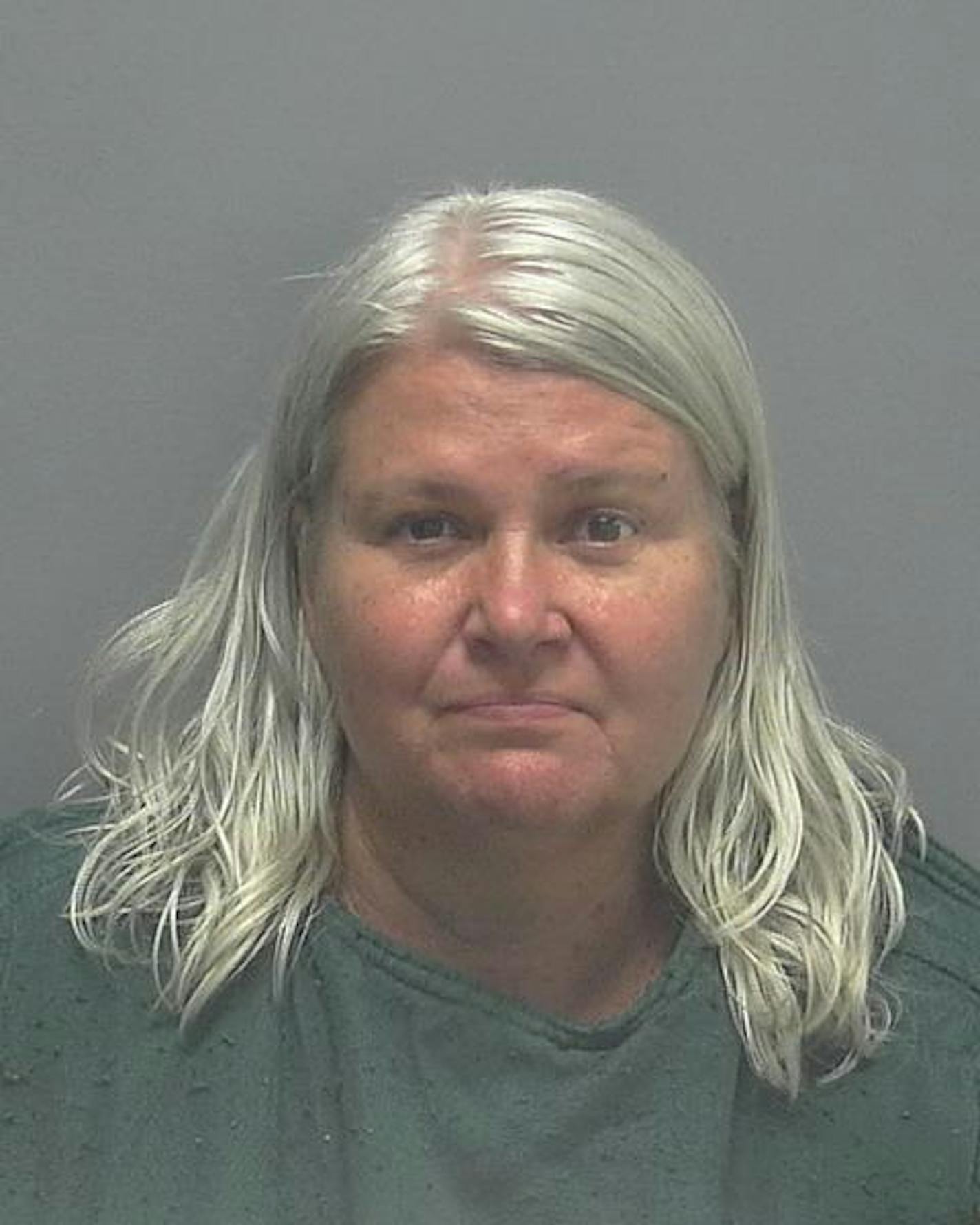 Lois Riess' Florida booking photo