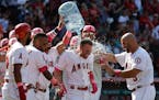 Members of the Los Angeles Angels celebrate after a walkoff single by Zack Cozart (7) during the ninth inning of a baseball game against the Minnesota