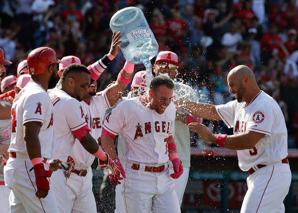 Members of the Los Angeles Angels celebrate after a walkoff single by Zack Cozart (7) during the ninth inning of a baseball game against the Minnesota