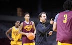 Newcomers, injury updates highlight Gophers first summer practice