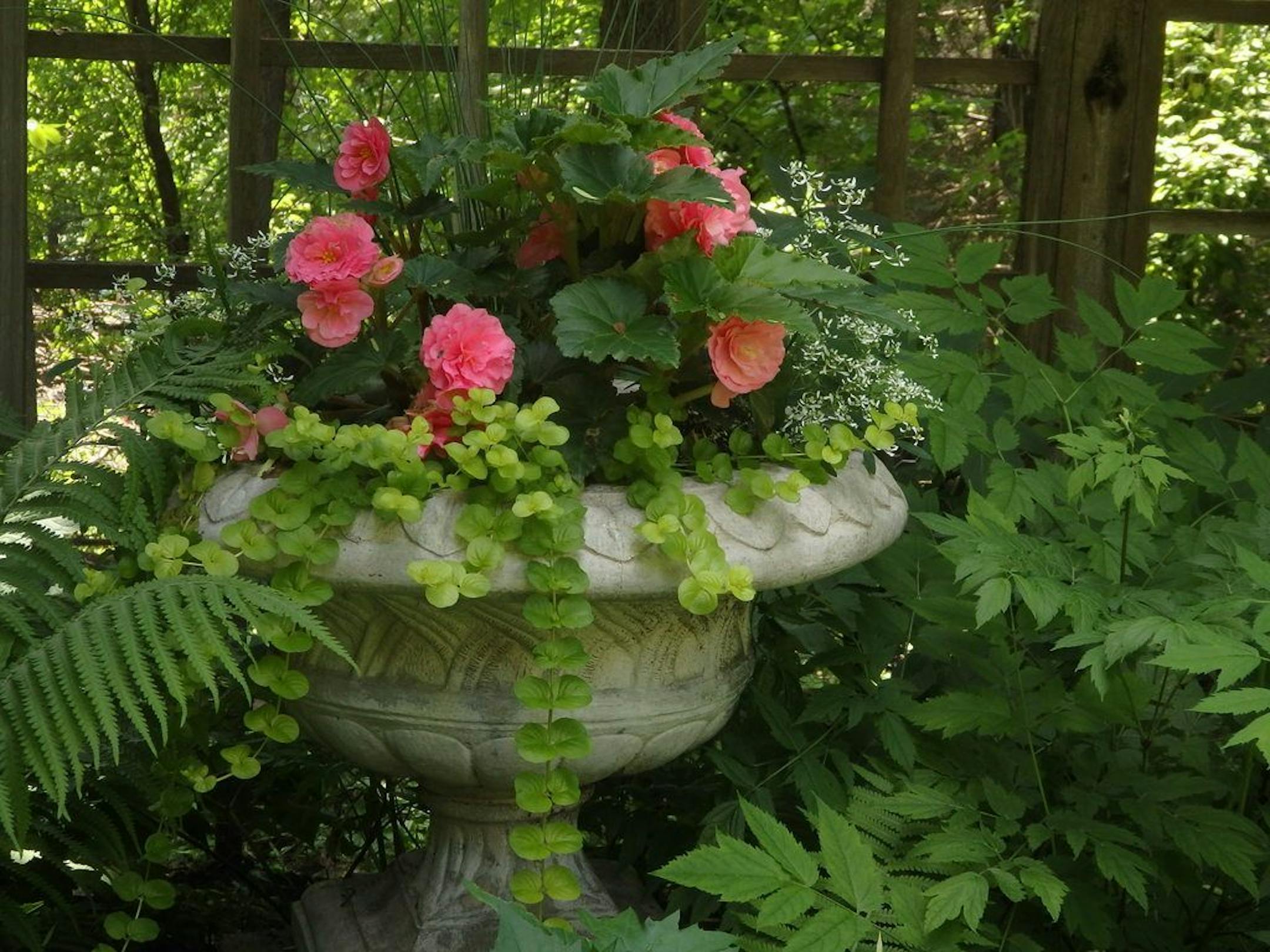 Pots of flowers are placed on pedestals for added height and impact.