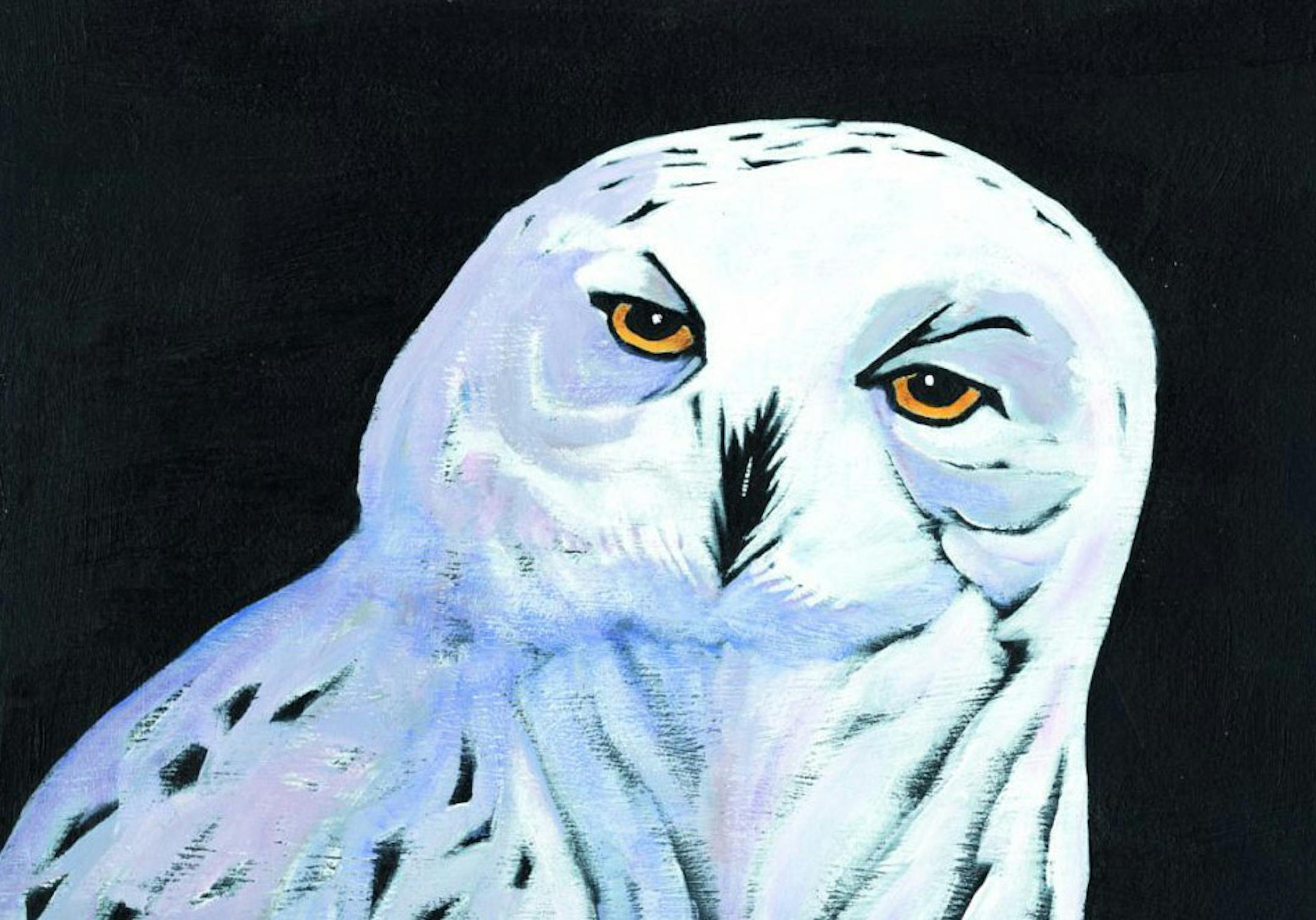 An illustration by Betsey Bowen, from "Twelve Owls" (University of Minnesota Press, $19.95)