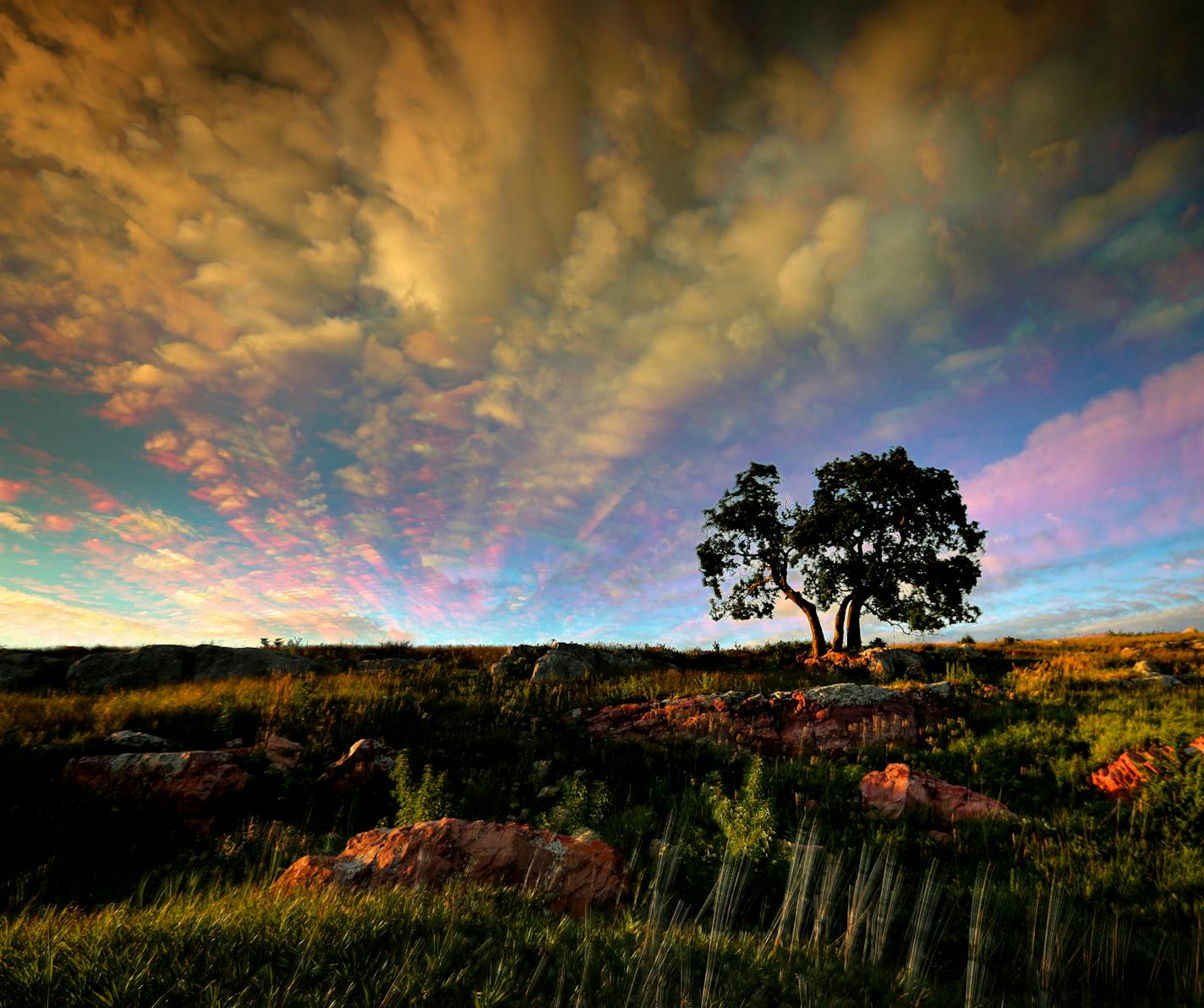 Waves of clouds paint the sky as late afternoon sun skims across the prairie framing the Three Sisters Hackberry Tree at Blue Mounds State Park. This is a multi-frame exposure of passing clouds. ] Minnesota State of Wonders - Summer on the Prairie. BRIAN PETERSON &#x2022; brian.peterson@startribune.com Luverne, MN 08/02/14