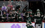 Dubnyk calls goalie interference ruling against the Wild 'a joke'