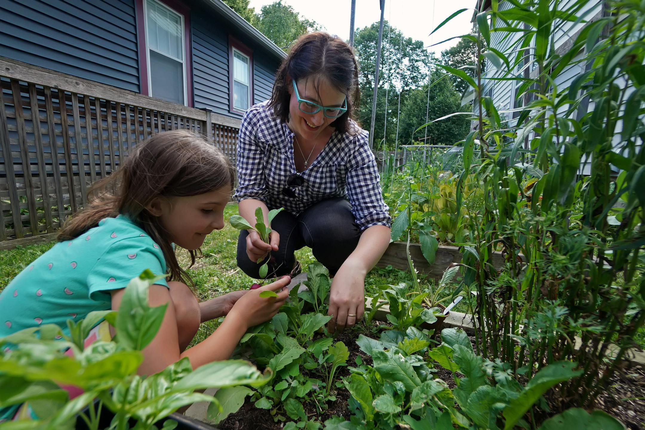 Catherine McDonnell-Forney and her daughter Madeline Schroetter harvested radishes and lettuce from their garden.