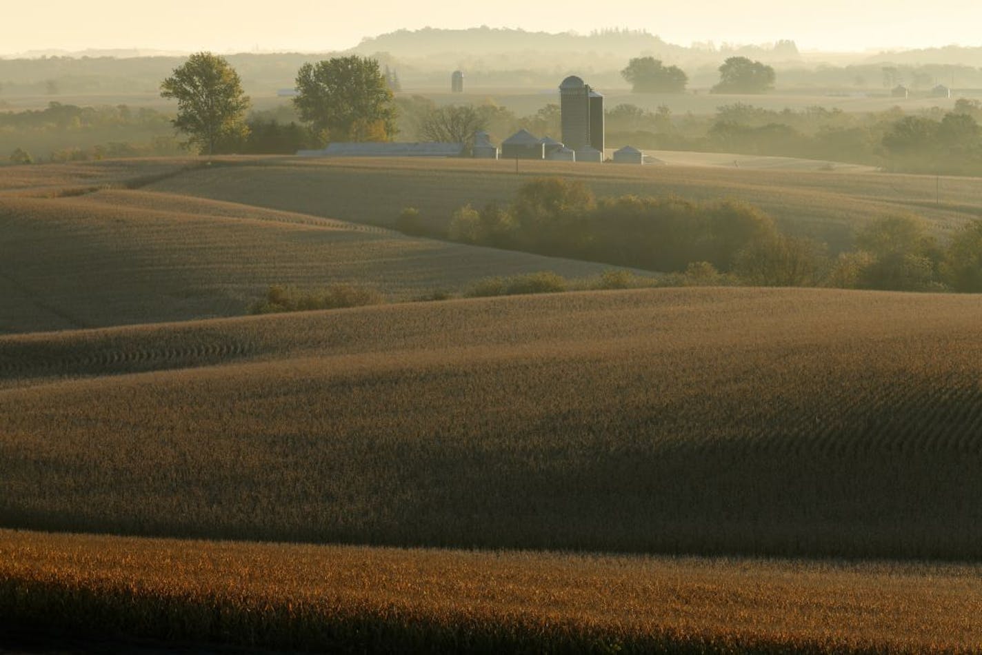 Rolling farmland of the Root River Valley near Lanesboro.