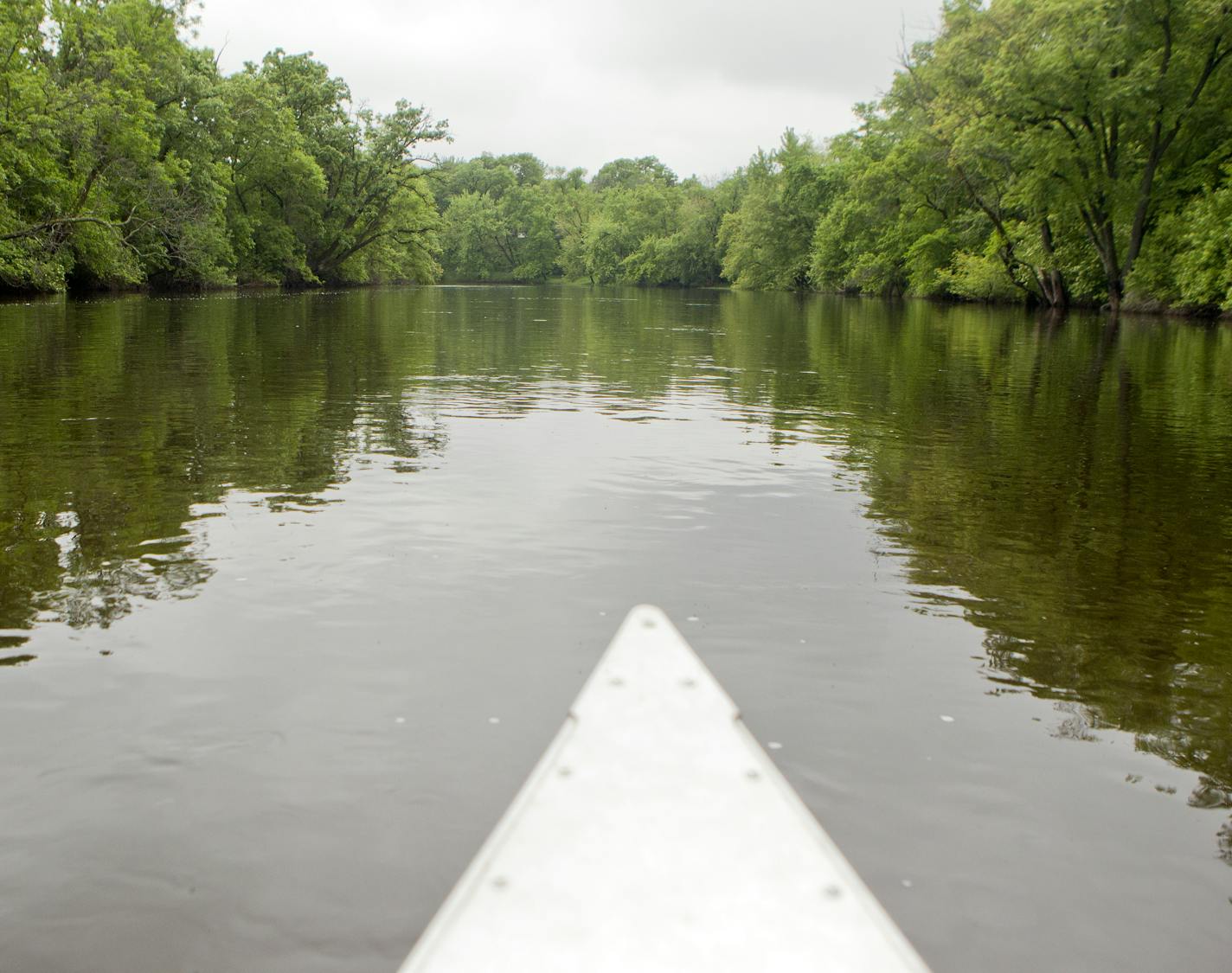 The Rum River in Anoka County from the front of a canoe on Monday, June 10, 2013. ] (ANNA REED/STAR TRIBUNE) anna.reed@startribune.com