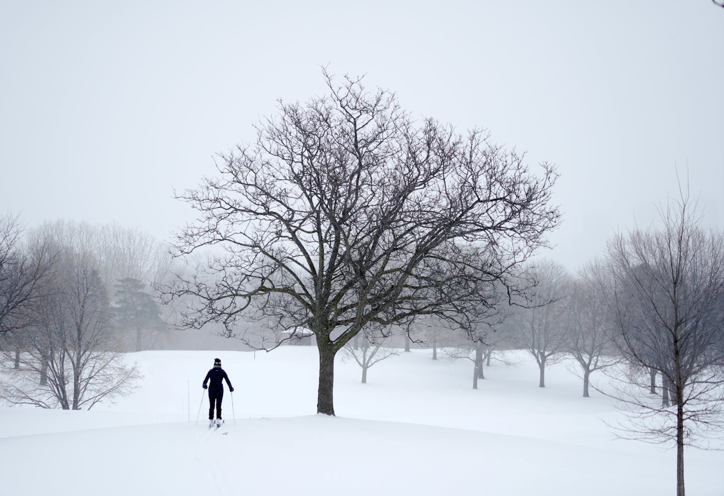 Snow-washing: An American Account and a Norwegian Story