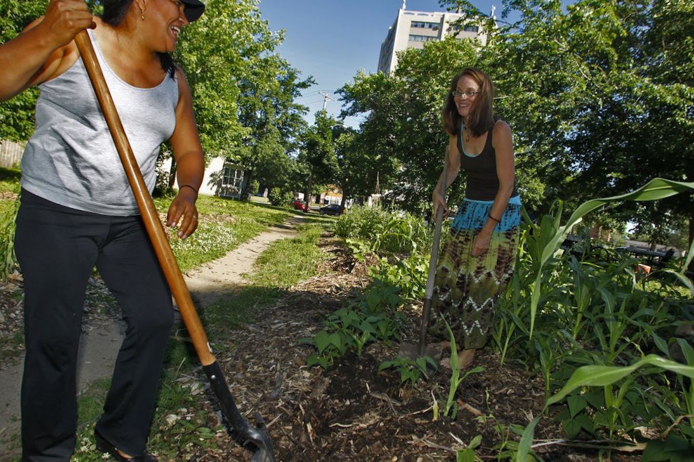 Kristina Elias of Minneapolis along with folks in the neighborhood started a vegetable garden on the corner of 22nd St. and 14th Av. S. that was formerly a blighted vacant lot. The garden is tended by the volunteers and the food goes to people in the neighborhood. Gloria Collaguazo, left and Kristina Elias shared a laugh as they worked in the garden.