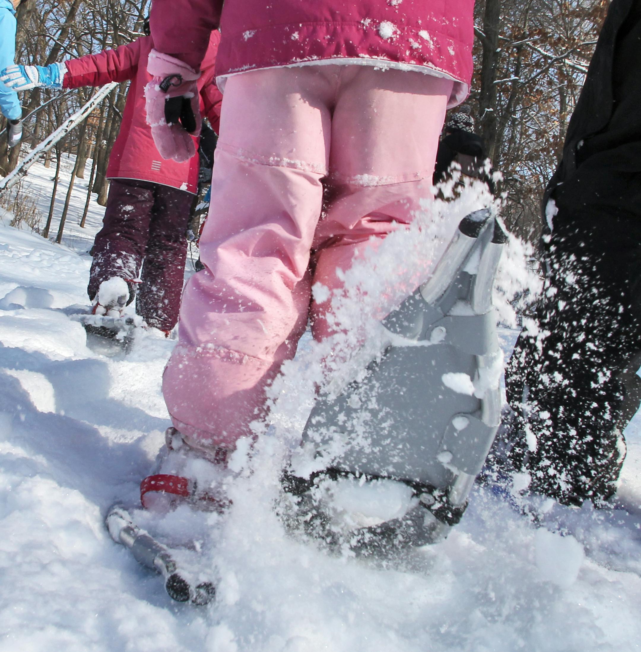 About thirty people strapped on snowshoes to follow Richardson Nature Center naturalist Kimi Aisawa Romportl on a hike through the park's woods and over ponds in a winter outing. Many of the kids in the group broke away to race across ponds. (MARLIN LEVISON/STARTRIBUNE(mlevison@startribune.com (cq -