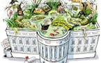Sack cartoon: Trump's 'swamp'
