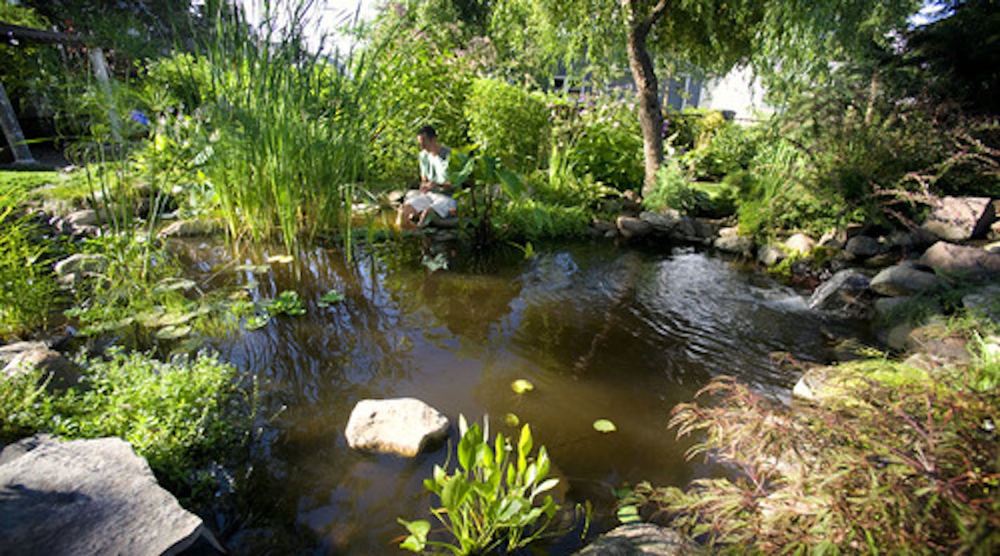 GLEN STUBBE &#xa5; gstubbe@startribune -- Minneapolis, Minn. -- July 26, 2010 - ] This small urban garden created by Randy Ferguson contains 100 fish and an antique shed relocated from the family farm.