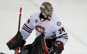 St. Cloud State's David Hrenak against Colorado College during an NCAA hockey game on Friday, Feb. 8, 2019 in St. Cloud, Minn. (AP Photo/Andy Clayton-