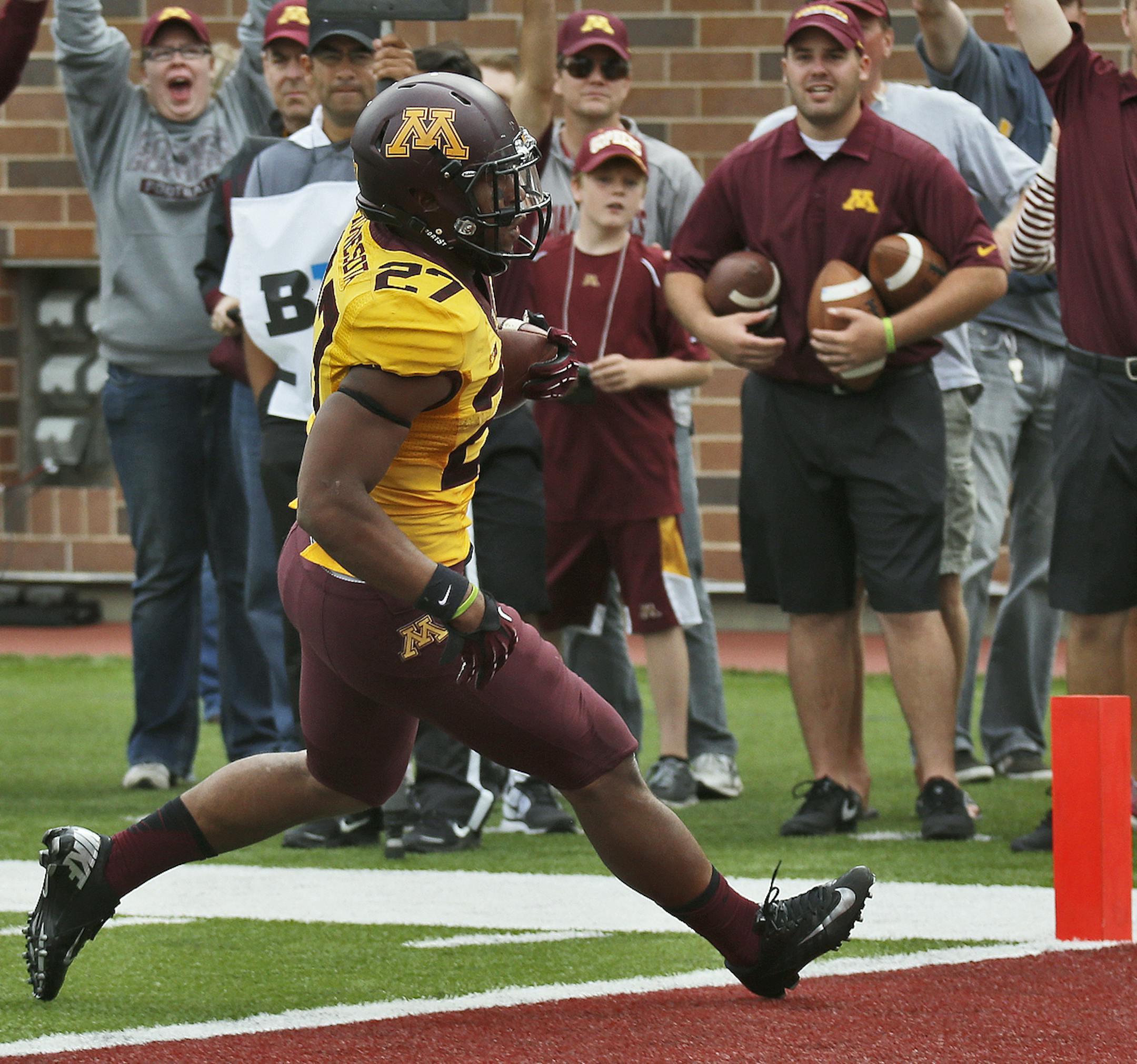 Minnesota Gophers vs. Western Illinois Leathernecks football. Gophers running back David Cobb crossed the goal ine for a 2nd half touchdown to the delight of Gophers fans on the sidelines. (MARLIN LEVISON/STARTRIBUNE(mlevison@startribune.com)