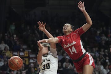 Two young standouts who will play in the state tournament, Minnehaha Academy sophomore Sinae Hill (14) and Providence Academy sophomore Maddyn Greenwa