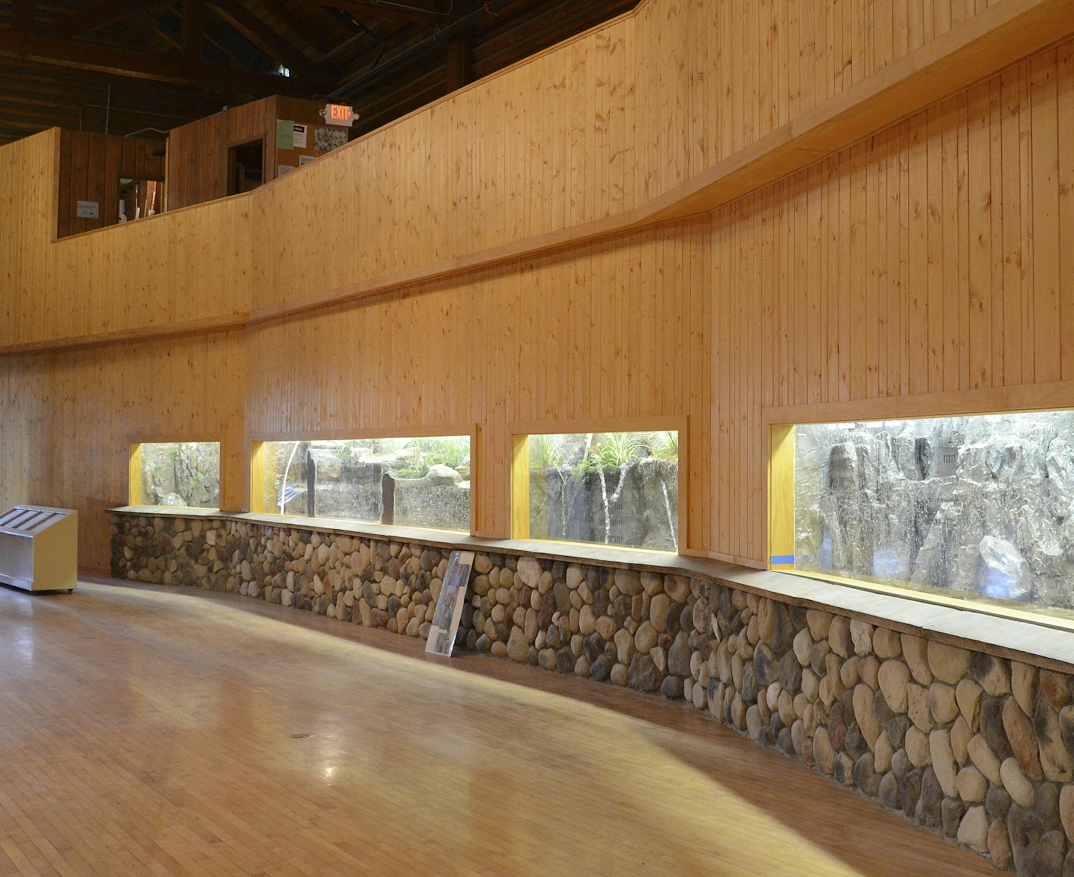 Some of the new indoor fish aquariums at the DNR building.
