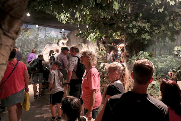 Fairgoers walked though the DNR's building featuring scenes from Minnesota landscapes.