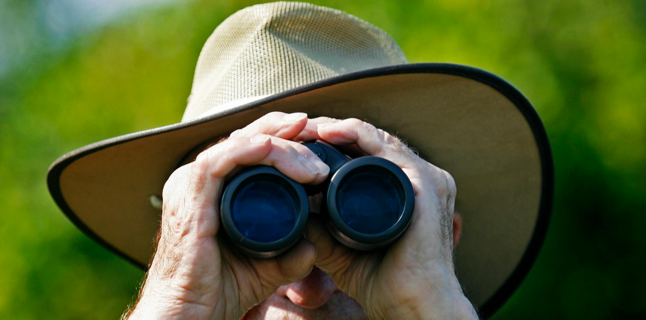 Fall migration means many birding opportunities.