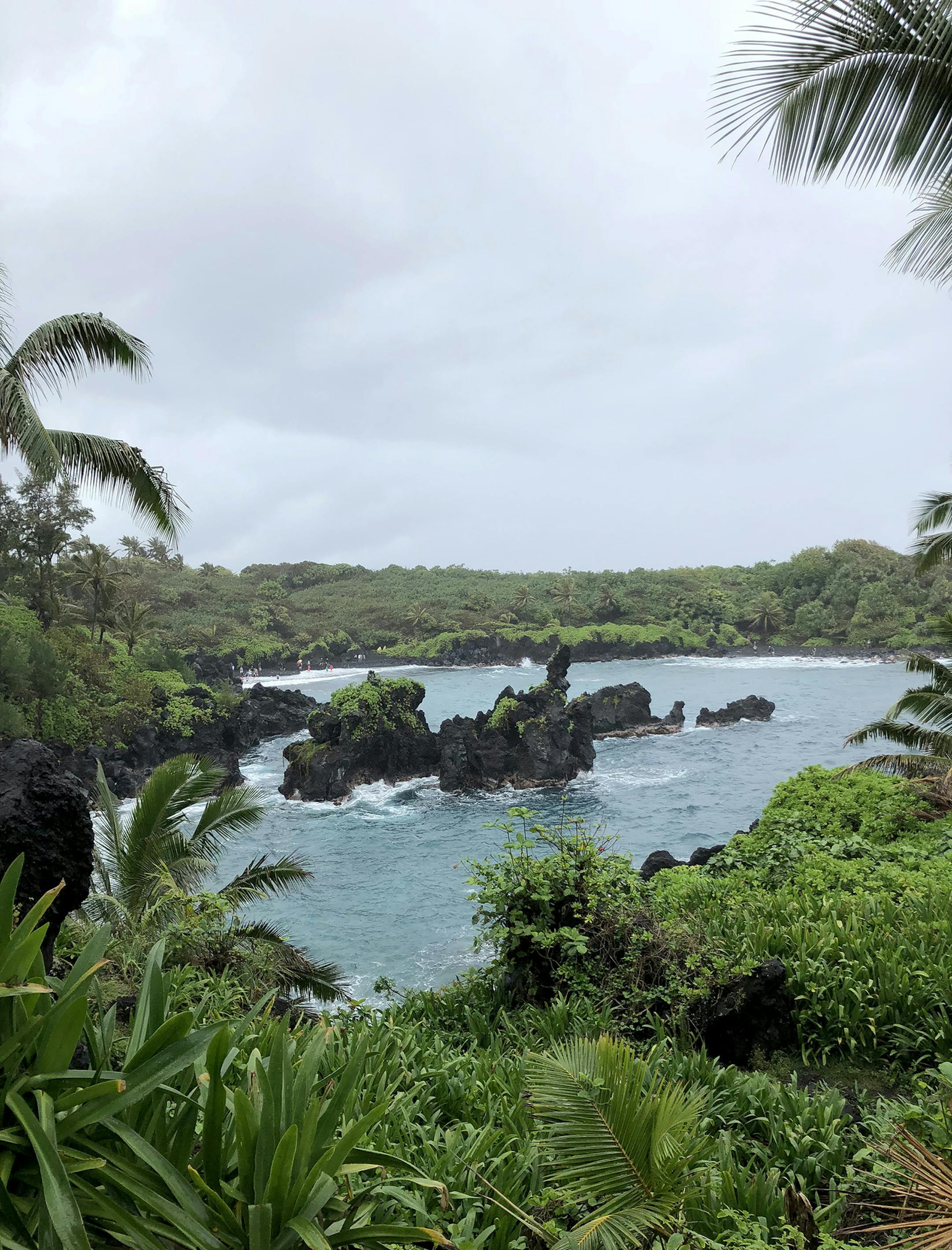 Black lava and lush forest merge at Wai'anapanapa State Park, in Hana, Maui. Martha Sanchez/Special to the Star Tribune