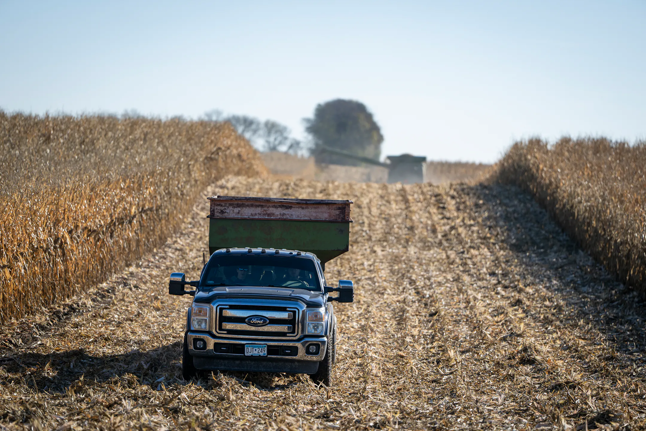 Minnesota ag students raise money for charity in 70th annual corn drive