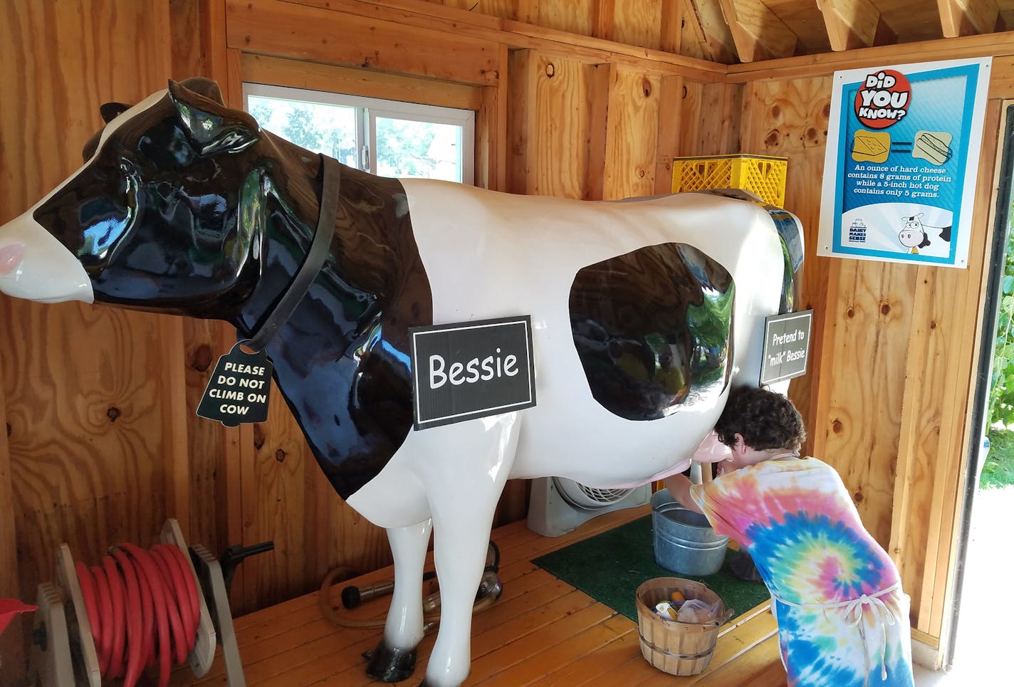 Kids can practice cow-milking skills at Little Hands on the Farm.