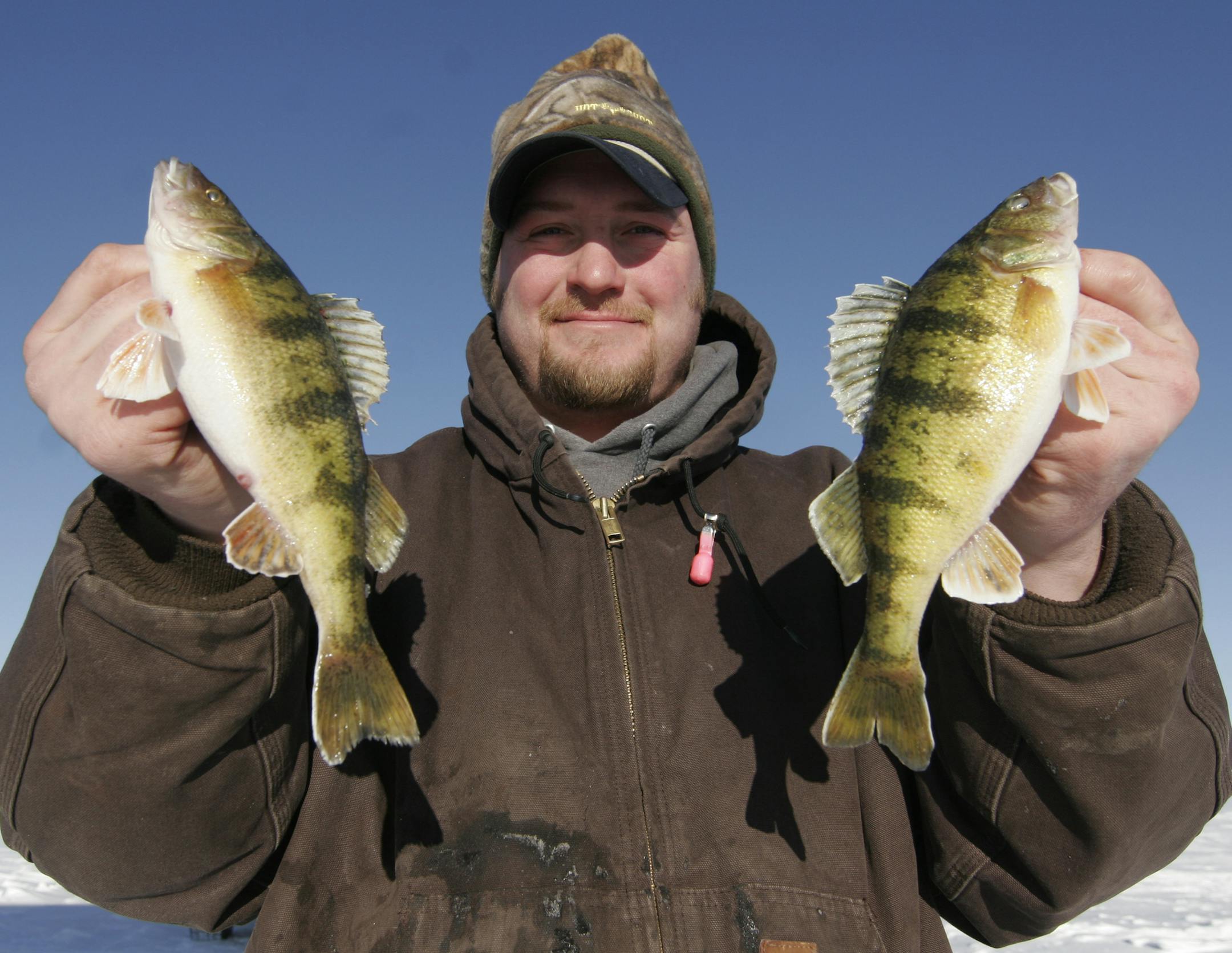 Fishing guide Kevin Peterson, 31, of Walker, Minn., held up two nice perch &#x2014; target fish for many winter anglers on Leech Lake.
