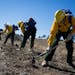 Trainees learn to dig a fire break line at the Arizona Wildfire and Incident Management Academy, in Prescott, Ariz., in 2016. The megadrought in the A