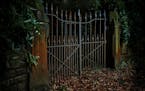 An ancient pair of rusty iron gates left ajar sits between sturdy moss covered sturdy stone gateposts nestled between overgrown foliage. The ground is