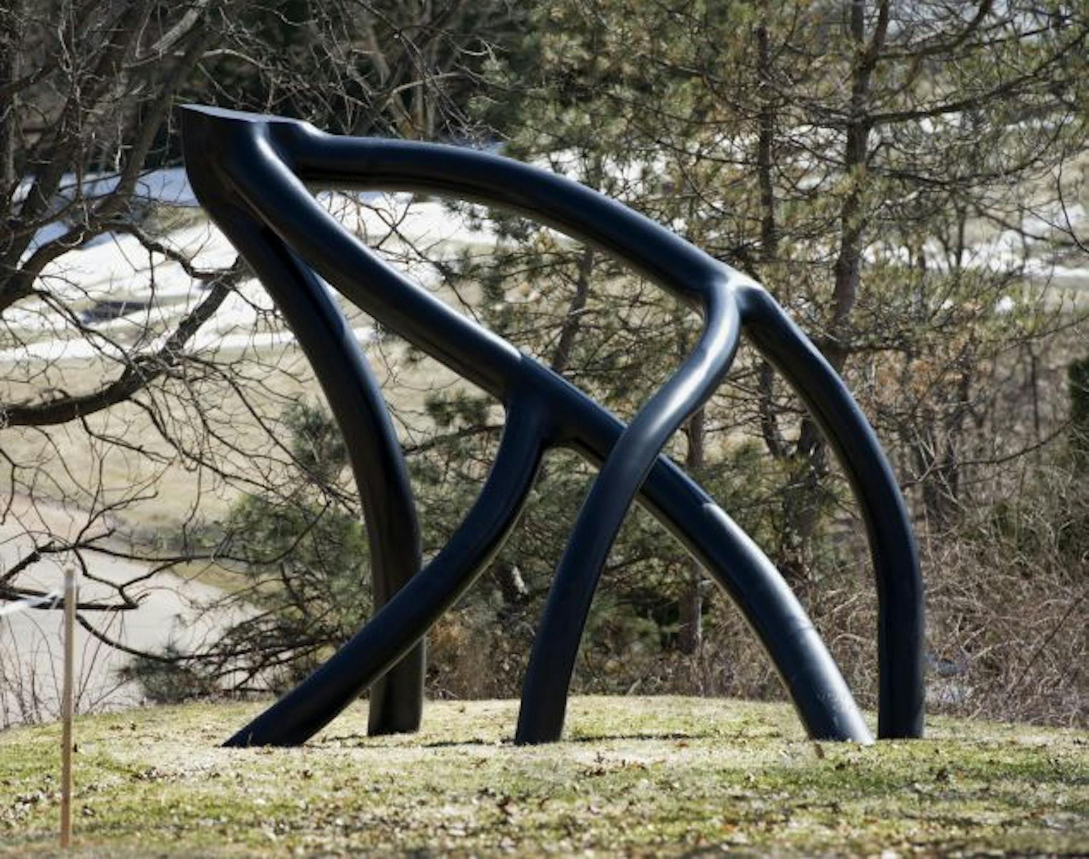 One of Steve Tobin's sculptures, "Tango," is on display at the Minnesota Landscape Arboretum.