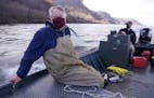 Peter Sorensen sat against the hull of his boat as Jeff Whitty, a research biologist, steered them down the Mississippi River towards their target are