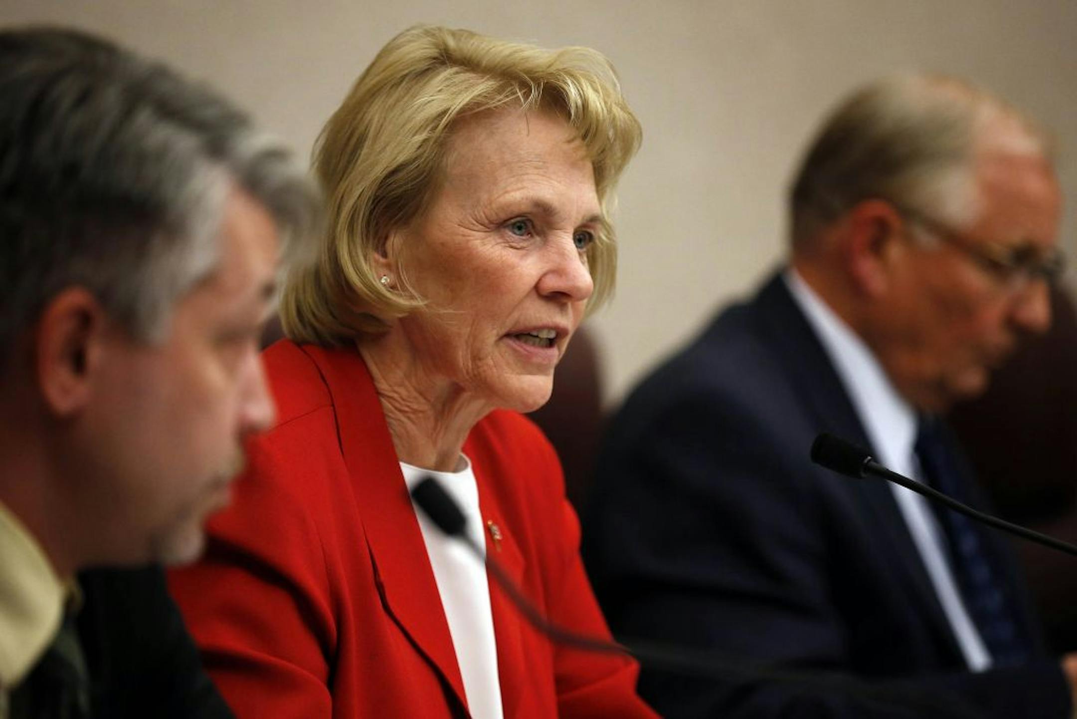 State Rep. Mary Kiffmeyer spoke during the Voter ID Amendment debate held at Maplewood City Hall on Tuesday night.