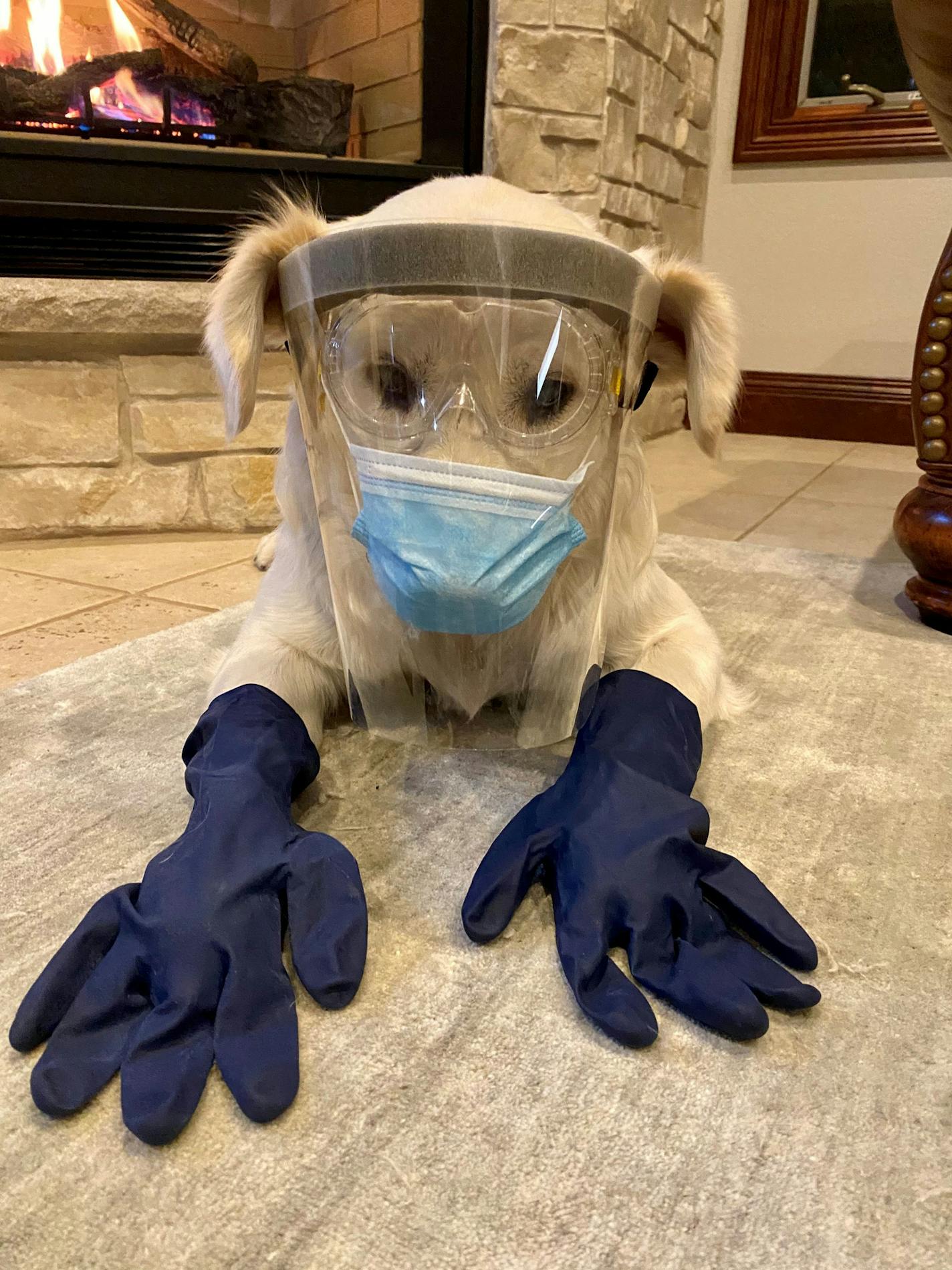 Walter, the mascot of Knotty Oar Marina of Prior Lake, is taking every pandemic precaution in this photo sent to us by Dakin Tande of Prior Lake.