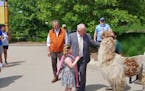 Gov. Tim Walz noted the “incredible drop” in student infections during his appearance at the Minnesota Zoo on Thursday to promote vaccination and 
