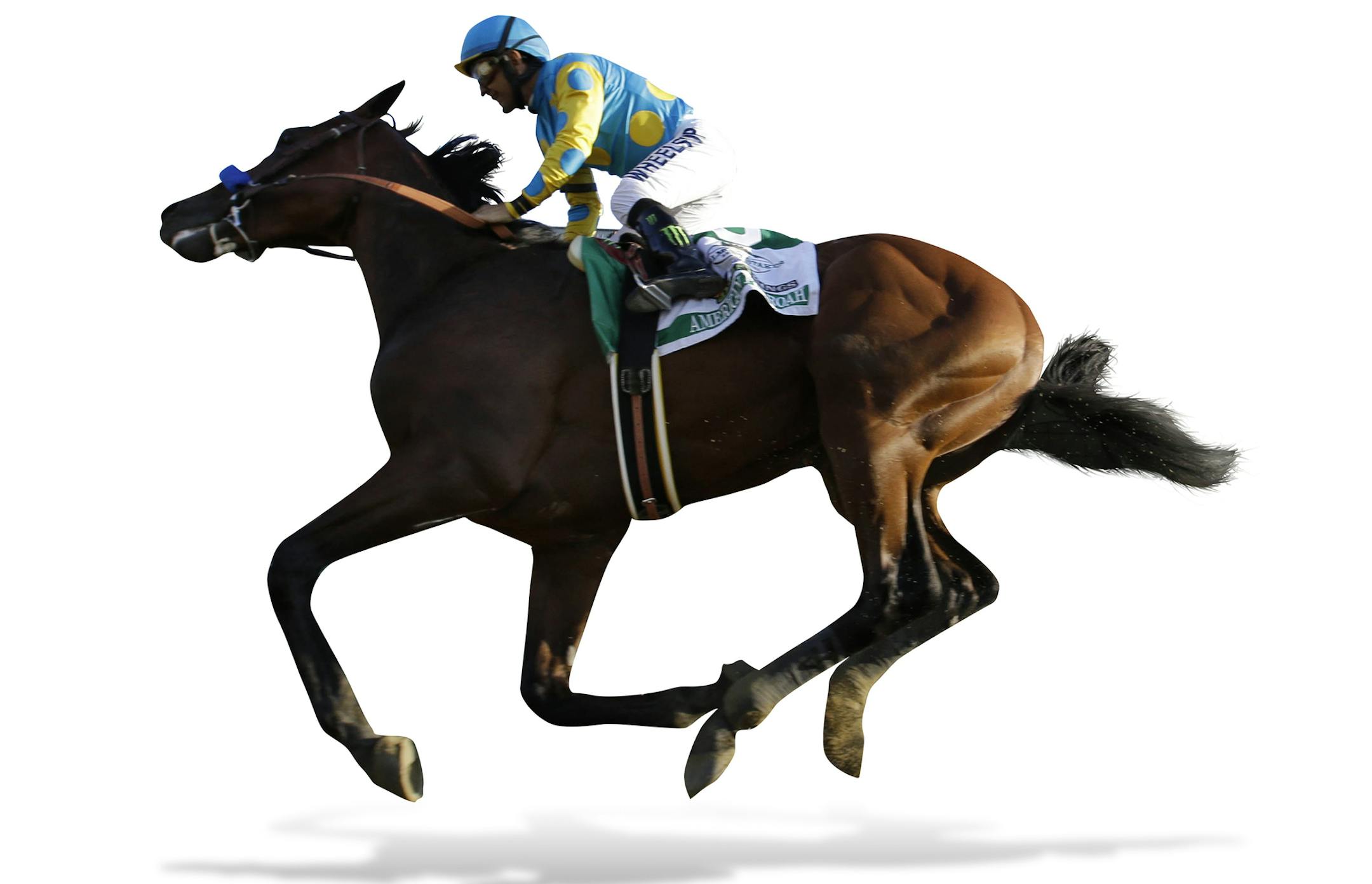American Pharoah gallops past the grandstand with Victor Espinoza up after crossing the finish line to win the 147th running of the Belmont Stakes horse race at Belmont Park, Saturday, June 6, 2015, in Elmont, N.Y. American Pharoah is the first horse to win the Triple Crown since Affirmed won it in 1978. (AP Photo/Julio Cortez) ORG XMIT: ELM149 ORG XMIT: MIN1506102045070436