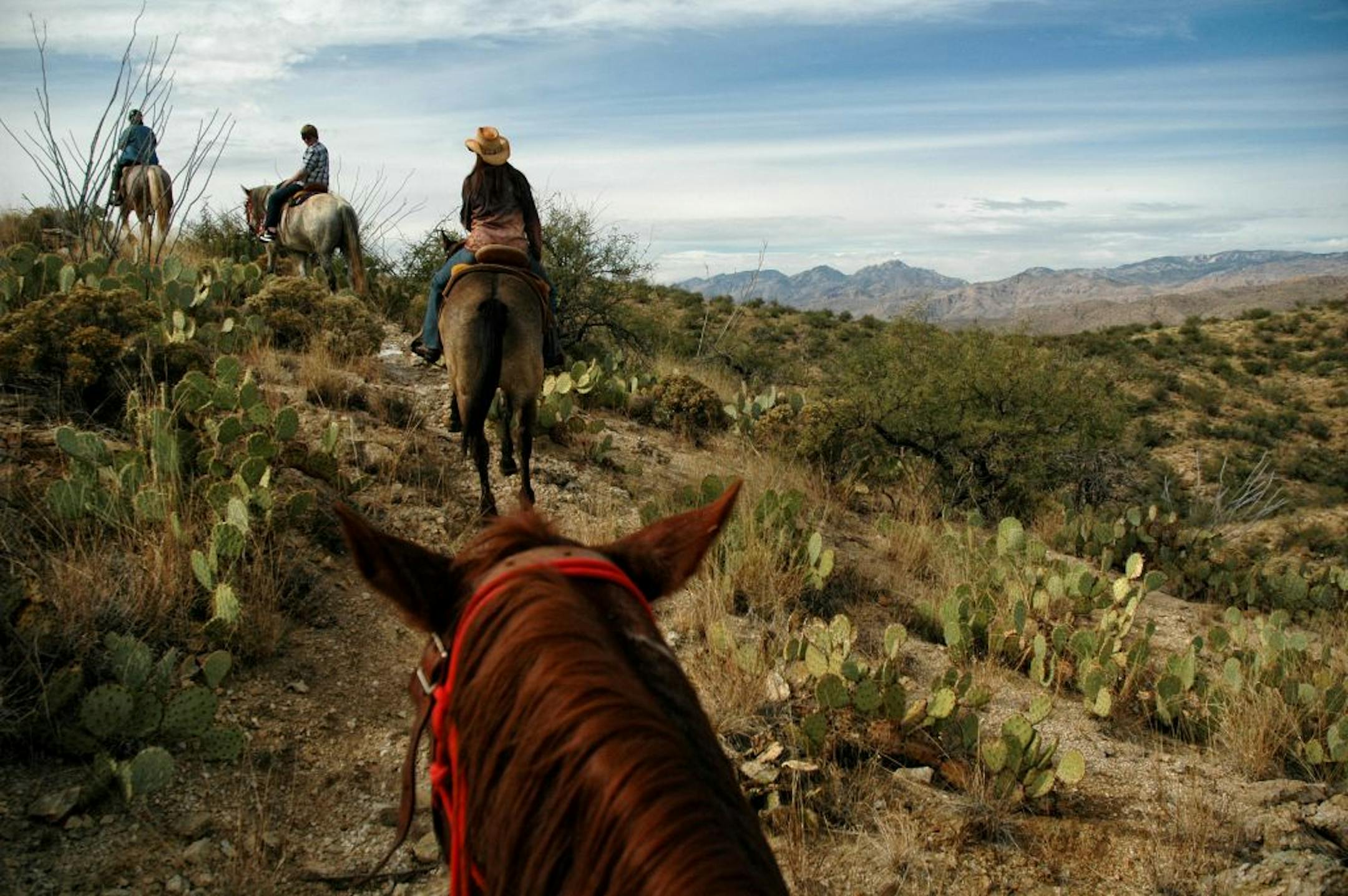 Falling in love with the desert -- and horses -- is easy at Tanque Verde. The ranch is situated between the Catalina and Rincon Mountains in southern Arizona.