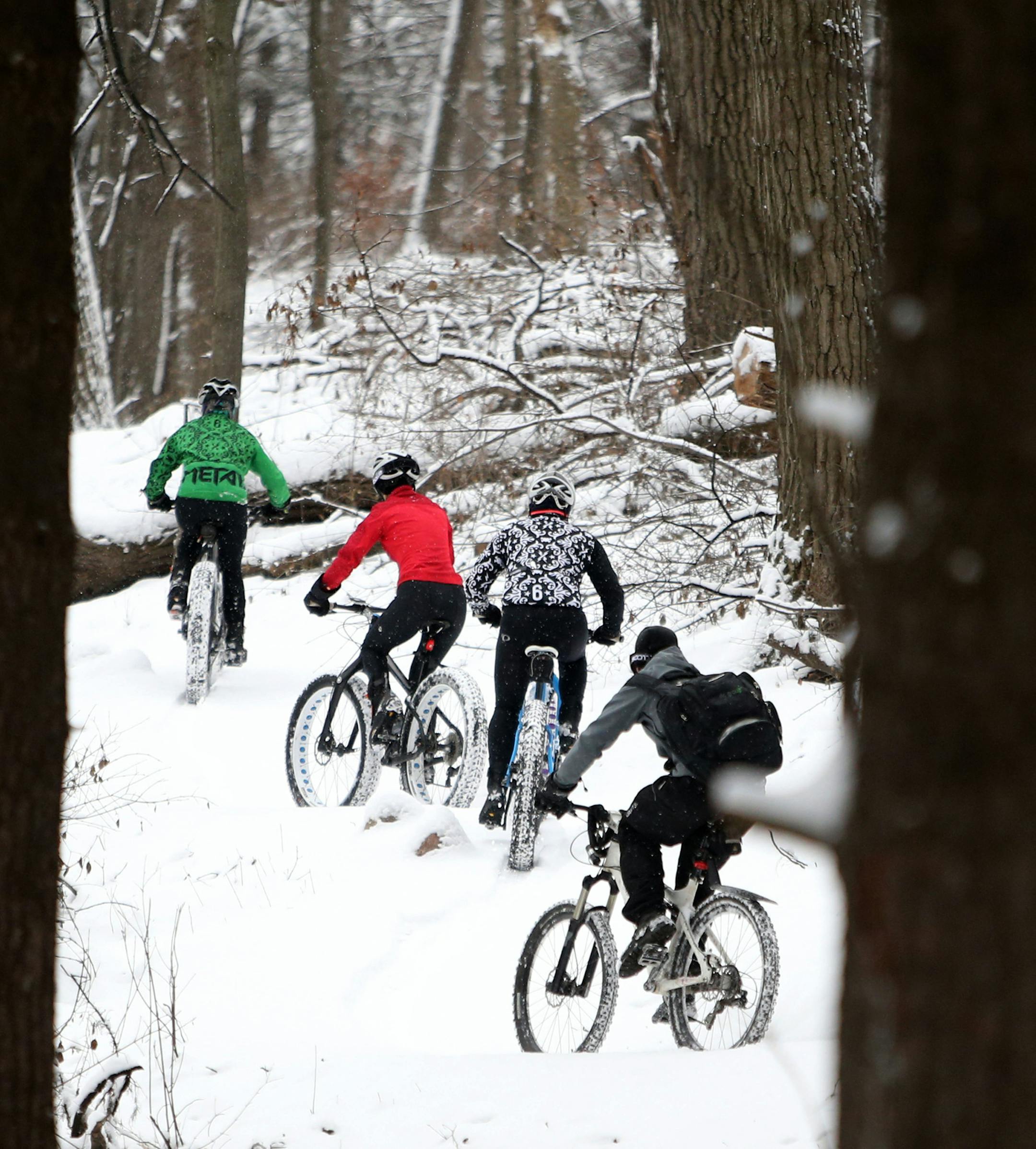 Minnesota Off-Road Cyclists, combine passion and advocacy, and are seen heading up a trail on fresh snow Saturday, Dec. 26, 2015, in Theodore Wirth Park in Minneapolis, MN.](DAVID JOLES/STARTRIBUNE)djoles@startribune.com Minnesota Off-Road Cyclists, combining passion and advocacy.