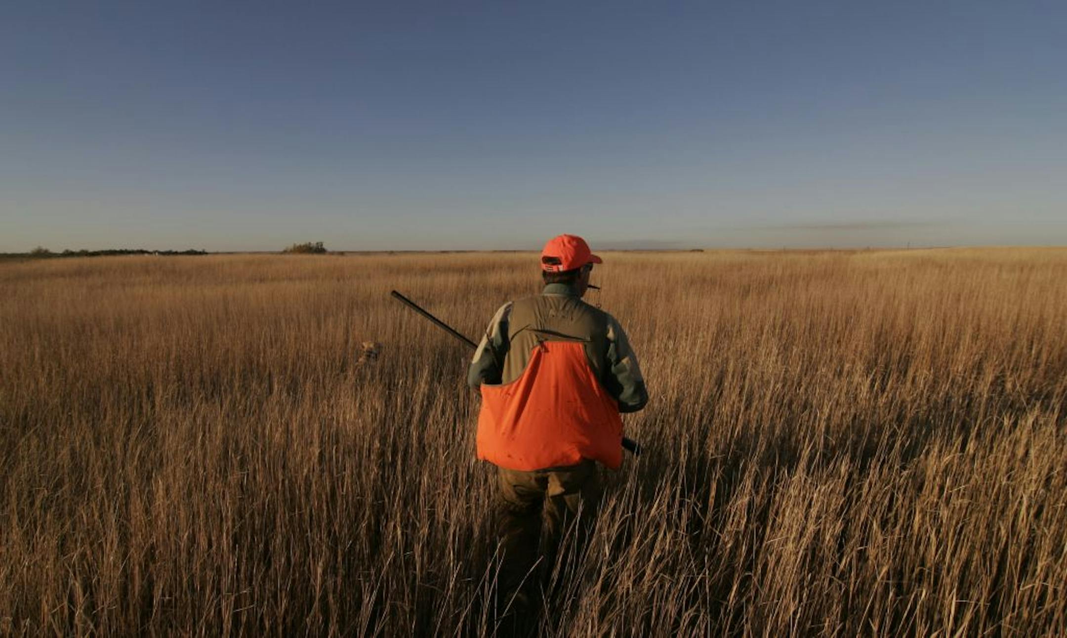 It doesn't get much better than this: Hunting pheasants in a golden field of grass near dusk on a warm October day in South Dakota -- the nation's No. 1 pheasant state. Here Tim McMullen of Delano whistles his dog.