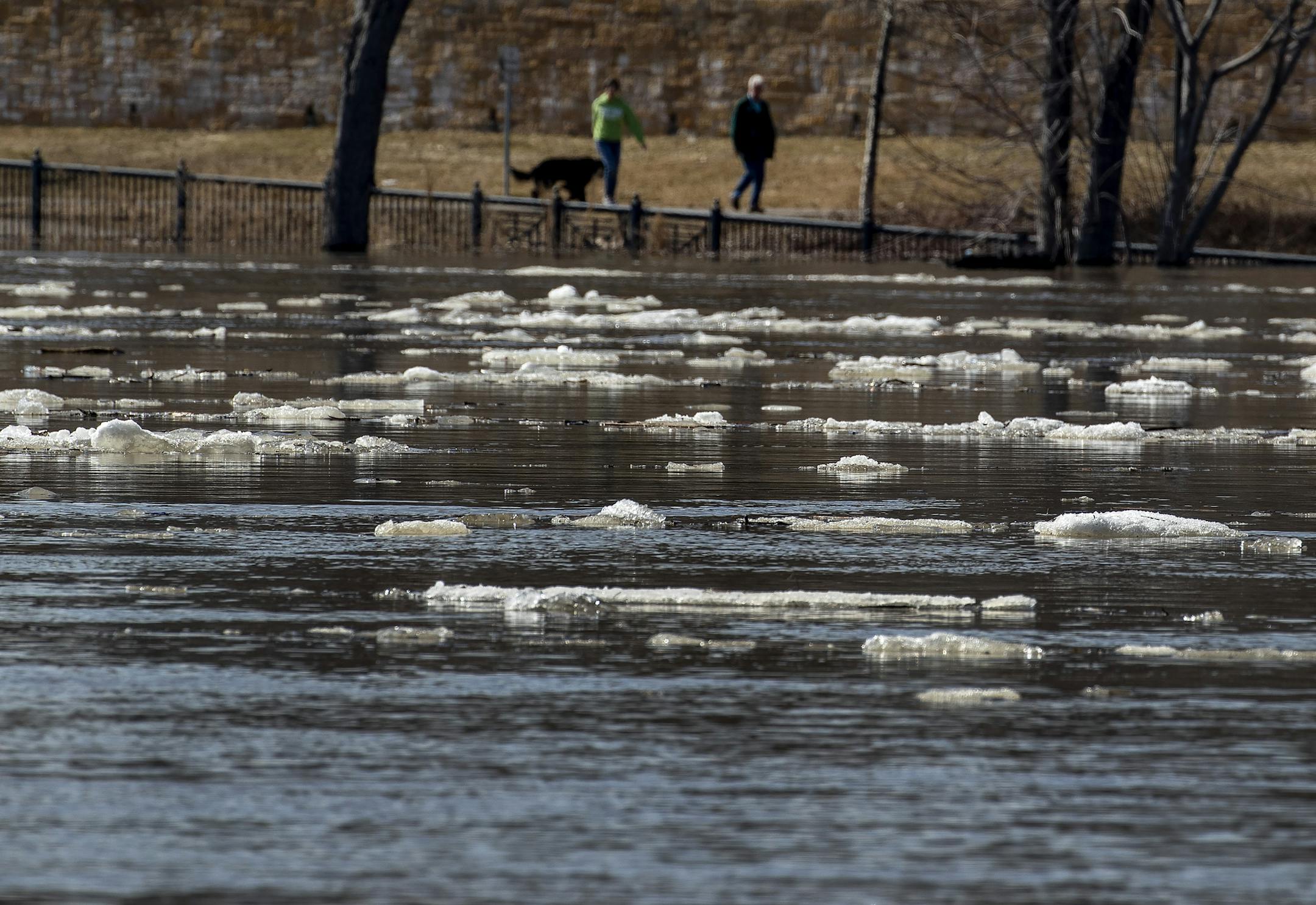 Chunks of ice flowed down the Mississippi river past downtown St. Paul and Harriet Island Regional Park on Monday afternoon. ] CARLOS GONZALEZ &#x2022; cgonzalez@startribune.com &#x2013; St. Paul, MN &#x2013; March 25, 2019, Harriet Island across from downtown St. Paul is starting to go under water due to spring flooding.
