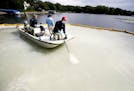 David Hillstrom treated an area on Christmas Lake for zebra mussels Sept. 8, 2014. Federal and state crews tested a product called Zequanox to try an 