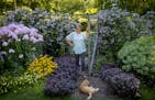 Beautiful Gardens winner Kathy Dirks in one of the many gardens on her lakefront property in Cumberland, Wis., in August.