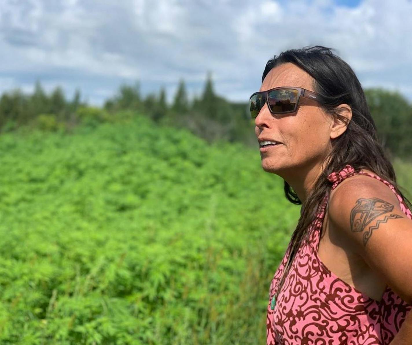 "Hemp can do almost everything petroleum can do," Winona LaDuke said, "including replacing some cotton and plastics."