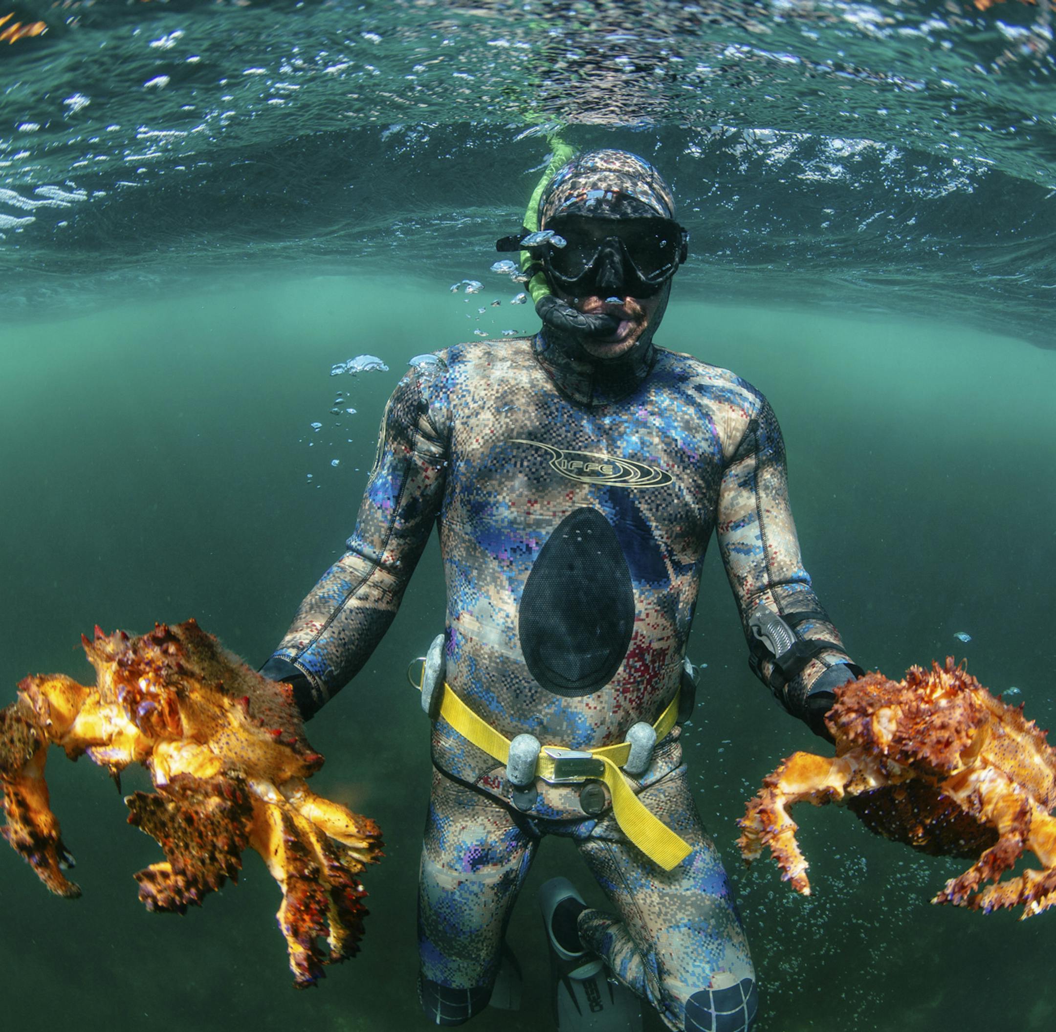 PHOTO MOVED IN ADVANCE AND NOT FOR USE - ONLINE OR IN PRINT - BEFORE JULY 2, 2017. — In an undated handout photo, a freediver with Nimmo Bay Wilderness Resort in Great Bear Rainforest in British Columbia, Canada. Resorts in Fiji, the Maldives and Canada are offering certification and guided trips for guests who want to mingle with marine life. (Jeremy Koreski via The New York Times) -- NO SALES; FOR EDITORIAL USE ONLY WITH RESORTS FREEDIVING ADV02 BY NORA WALSH FOR JULY 2, 2017. ALL OTHER